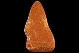 Polished, Orange Calcite Freeform - Madagascar #109637-1